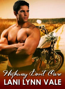 Highway Don't Care BLANK ebook cover