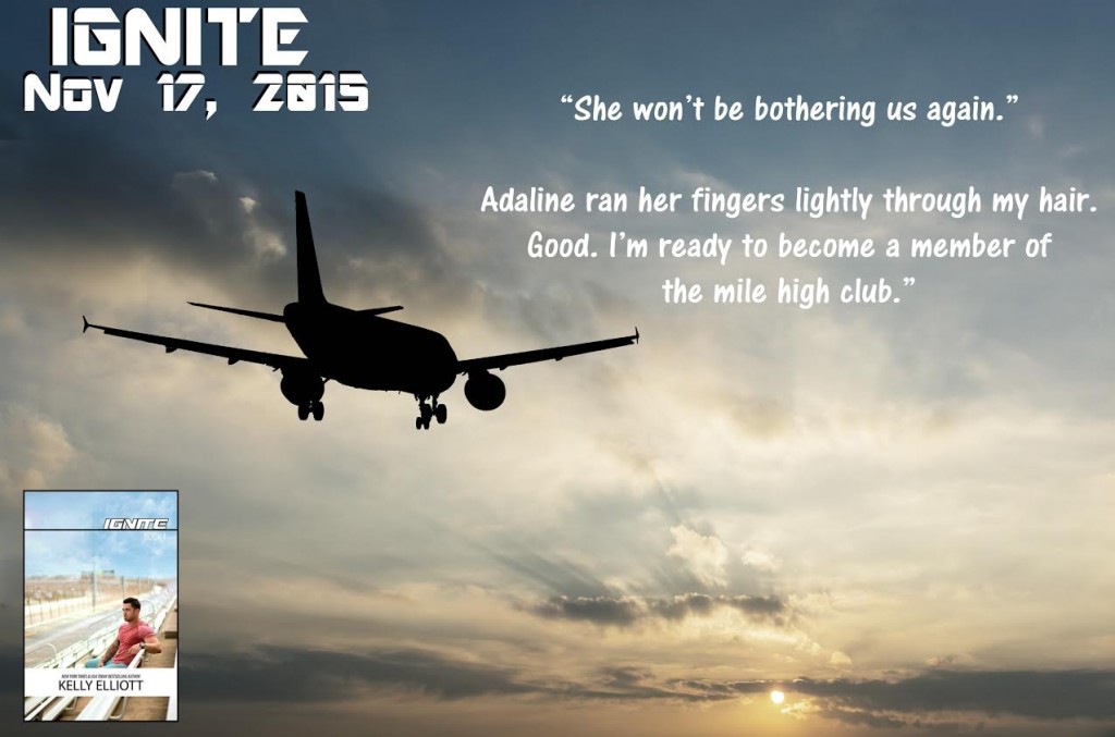 Beautiful view of silhouette of airplane.